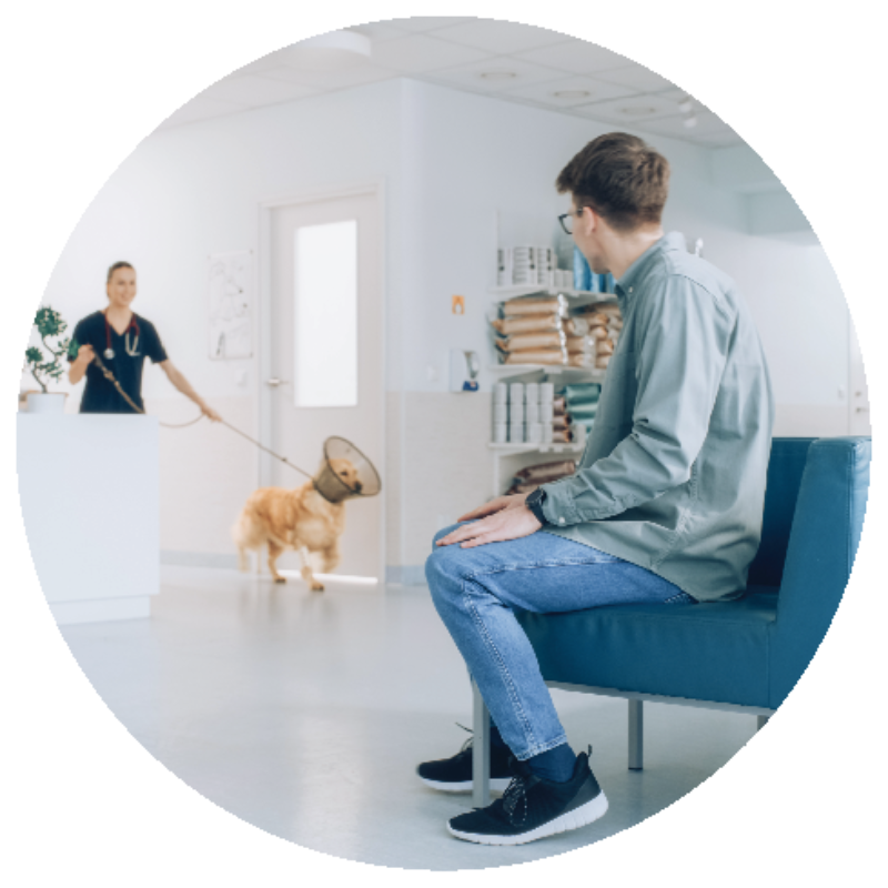 A pet owner waiting for their pet in a veterinary practice waiting room